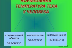 Нормальная температура тела человека